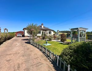 Photo 46- click for photo gallery